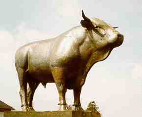 Le taureau Aubrac, sur la place du foirail de Laguiole