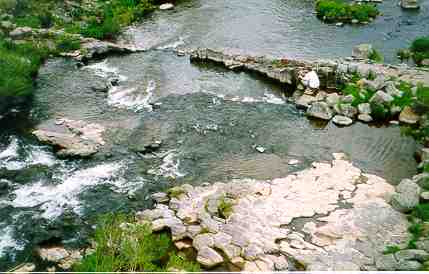 La rivière des Plèches