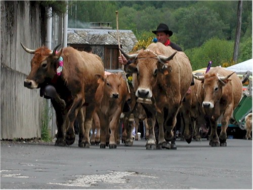 La fête de  la transhumance à Saint-Chély d'Aubrac, 25 mai 2002, par Alain Rey